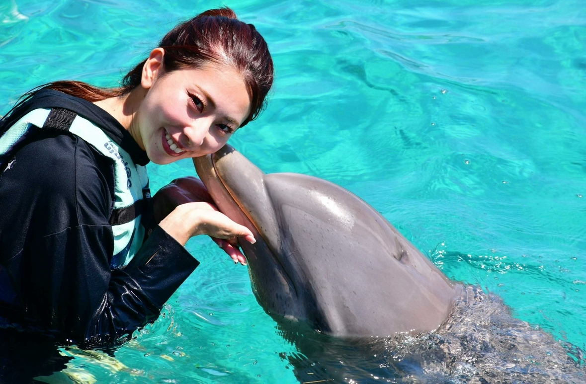 ドルフィンキス